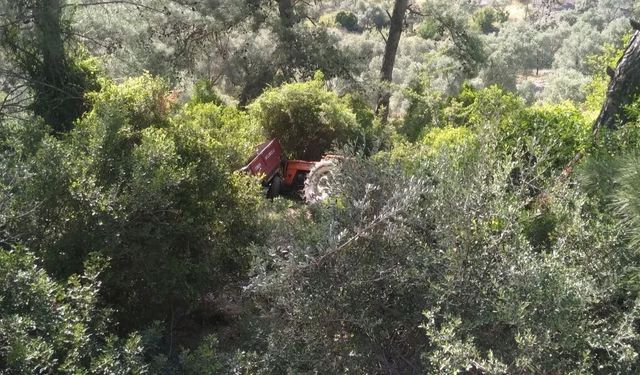 Muğla’da traktör ormanlık alana devrildi