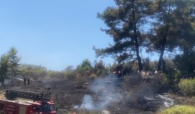 Antalya rahat nefes aldı alevler söndü