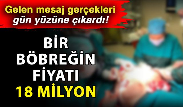 Gelen mesaj gerçekleri gün yüzüne çıkardı! Bir böbreğin fiyatı 18 milyon