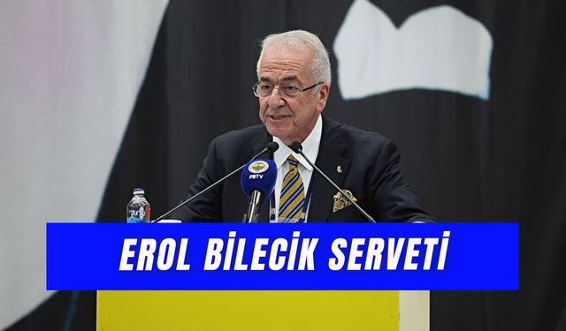 Erol Bilecik Serveti: Fenerbahçe Başkan Vekili Mailinde Aziz Yıldırım'a Ne Dedi?