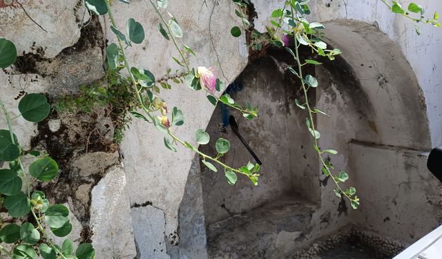 O mahallenin muhtarı isyan etti: "Onu satsan ne kadar eder ki?"