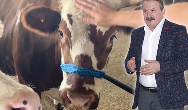 Sağlık İl Müdürü tek tek sıraladı… Kurban Bayramı’nda hasta olmamak için bunları yapın
