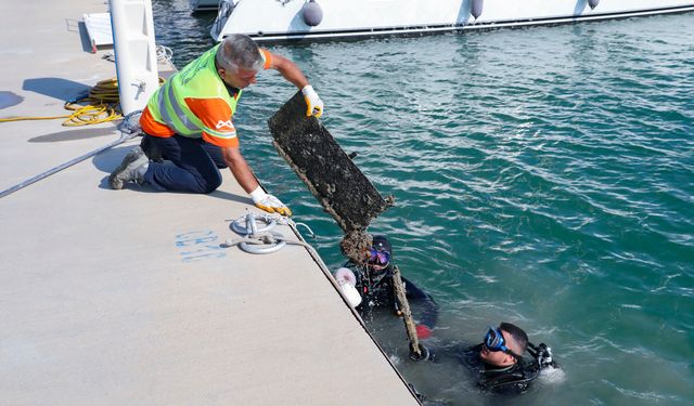 Mersin'de denizden çıkanlar şaşkınlık yarattı