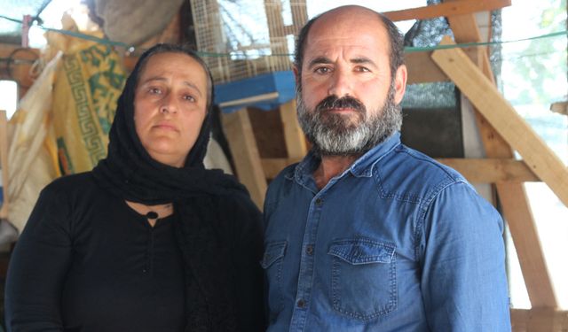Serbest bırakılan sürücüye aile isyan etti