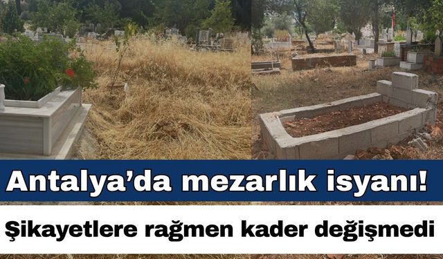 Antalya’da mezarlık isyanı! Şikayetlere rağmen kader değişmedi