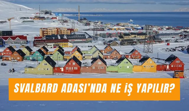 Svalbard Adası’nda Ne İş Yapılır? Adada Yaşam Nasıl?