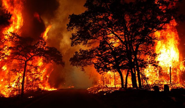 Türkiye yangınlarla boğuşuyor... 150 yangından 8’i devam ediyor
