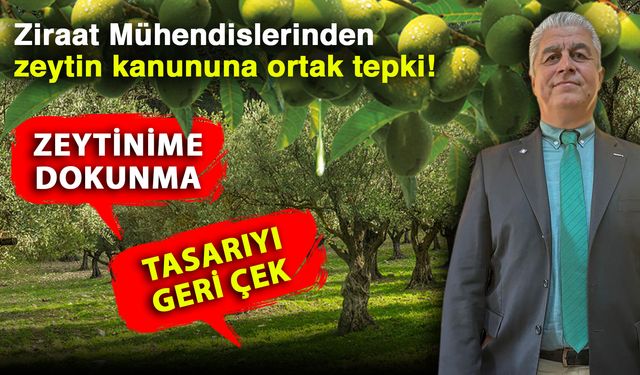Ziraat Mühendislerinden zeytin kanununa ortak tepki! Zeytinime dokunma, tasarıyı geri çek