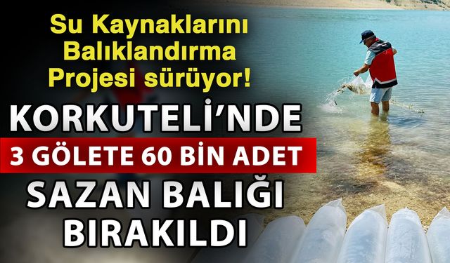Su Kaynaklarını Balıklandırma Projesi sürüyor! Korkuteli’nde 3 gölete 60 bin adet sazan balığı bırakıldı