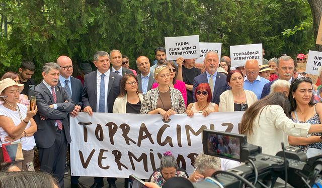 CHP’li Av. Cavit Arı; “Bu bir ağaç meselesi değil, bu bir gelecek meselesi”