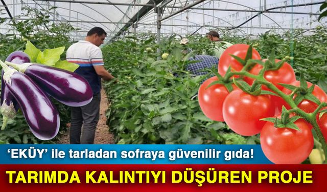 ‘EKÜY’ ile tarladan sofraya güvenilir gıda! Tarımda kalıntıyı düşüren proje