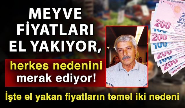 Meyve fiyatları el yakıyor, herkes nedenini merak ediyor! İşte el yakan fiyatların temel iki nedeni