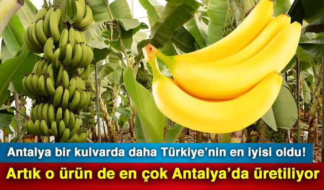 Antalya bir kulvarda daha Türkiye’nin en iyisi oldu! Artık o ürün de en çok Antalya’da üretiliyor