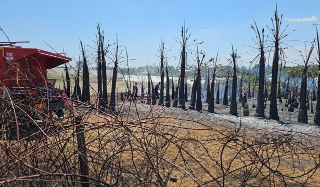 Antalya’dan ardı ardına yangın haberleri geldi! 3 ilçede yürekler ağza geldi