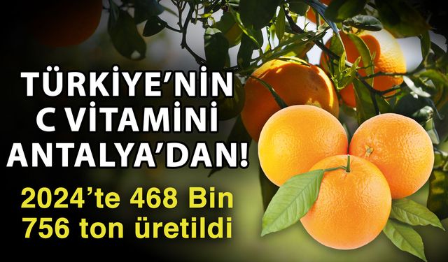 Türkiye’nin C vitamini Antalya’dan! 2024’te 468 Bin 756 ton üretildi
