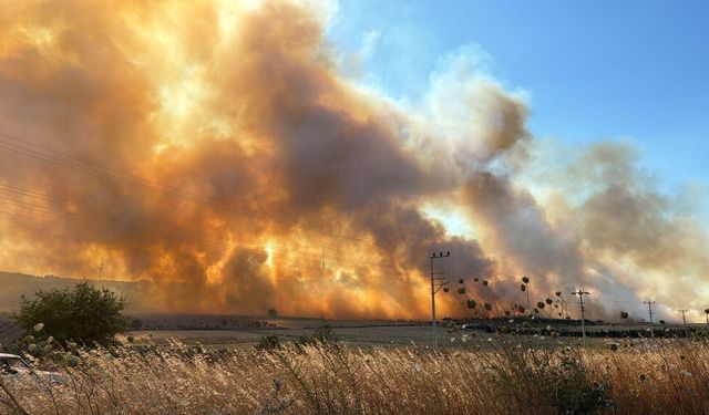Seferihisar‘da bir yangın daha... TOKİ konutları boşaltıldı
