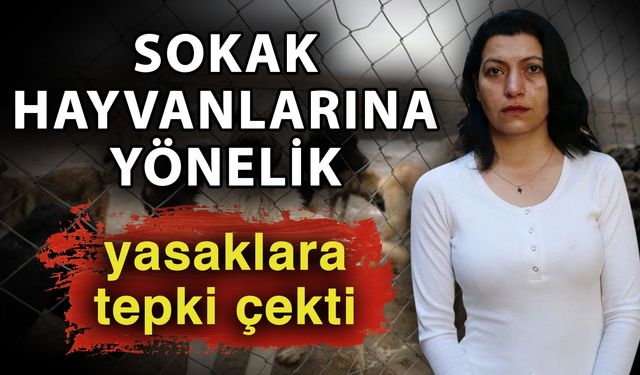 Sokak hayvanlarına yönelik yasaklara tepki çekti