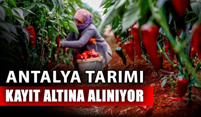 Antalya tarımı kayıt altına alınıyor