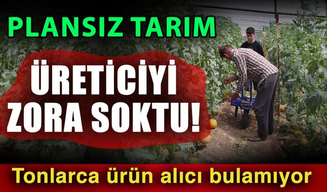 Plansız tarım üreticiyi zora soktu! Tonlarca ürün alıcı bulamıyor