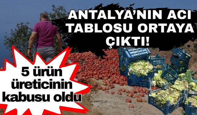 Antalya’nın acı tablosu ortaya çıktı! 5 ürün üreticinin kabusu oldu