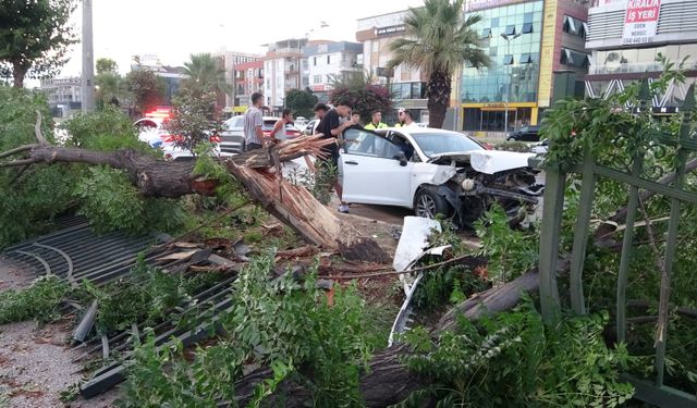 Antalya savaş alanına döndü! Kimsenin burnu bile kanamadı
