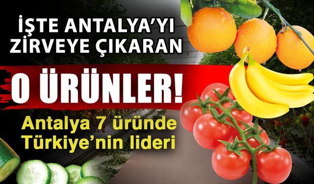 İşte Antalya’yı zirveye çıkaran o ürünler! Antalya 7 üründe Türkiye’nin lideri