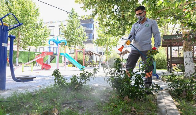 Mut'ta sineksiz yaz için etkili mücadele sürüyor