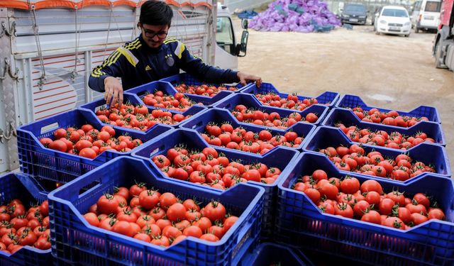 Gençler köyde kalmazsa tarım biter! Gençlerin tarımdan kaçıyor, ülke intihar ediyor