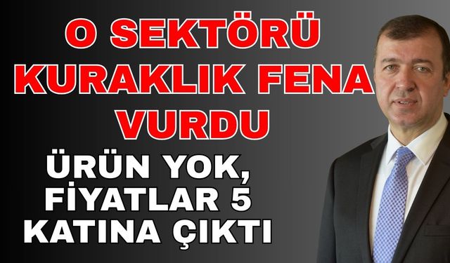 O sektörü kuraklık fena vurdu! Ürün yok, fiyatlar 5 katına çıktı