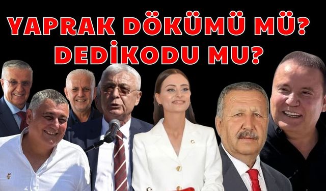 Yaprak dökümü mü? Dedikodu mu?