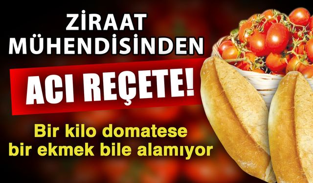 Ziraat mühendisinden acı reçete! Bir kilo domatese bir ekmek bile alamıyor