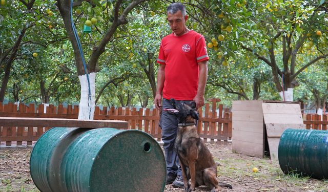 Arama kurtarma köpeği Tina, Antalya’ya bir ilke imza attı