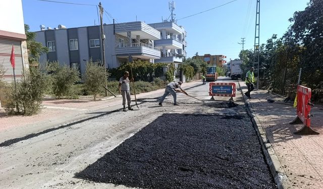 Akdeniz'in ulaşımda konforlu yükselişi devam ediyor
