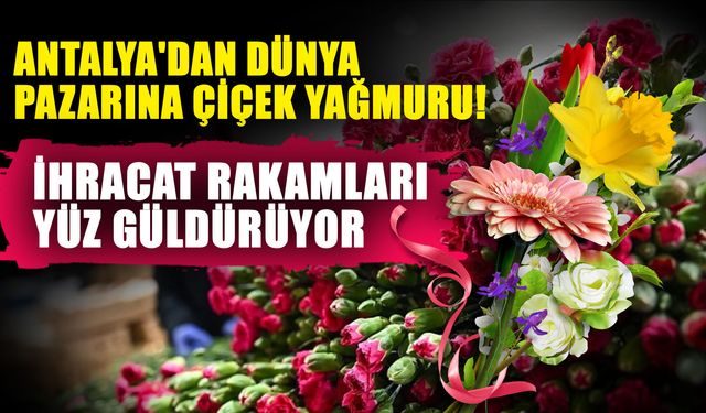 Antalya'dan dünya pazarına çiçek yağmuru! İhracat rakamları yüz güldürüyor