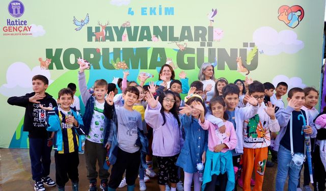 Elektronik atıklar sayesinde patili dostlar mama kazanıyor