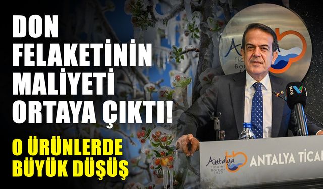 Don felaketinin maliyeti ortaya çıktı! O ürünlerde büyük düşüş