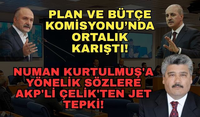 Plan ve Bütçe Komisyonu’nda ortalık karıştı! Numan Kurtulmuş'a yönelik sözlere AKP'li Çelik'ten jet tepki!