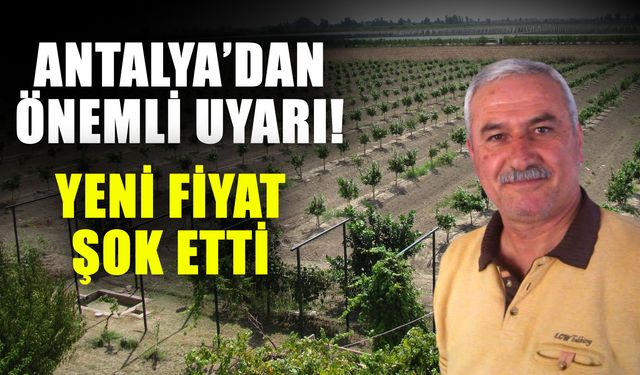 Antalya’dan önemli uyarı! Yeni fiyat şok etti