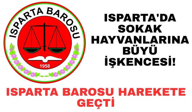 Isparta'da sokak hayvanlarına büyü işkencesi! Isparta Barosu harekete geçti