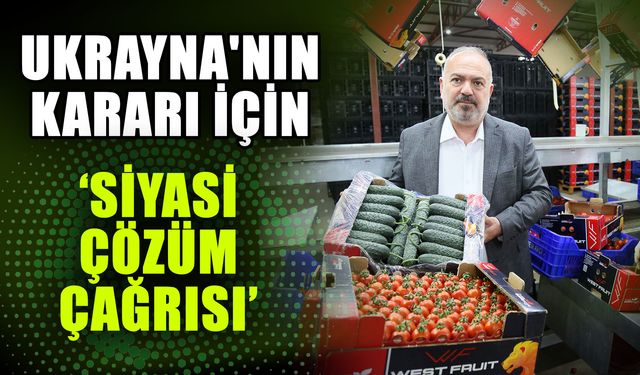 Ukrayna'nın kararı için ‘Siyasi çözüm çağrısı’