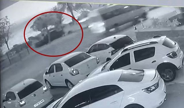 Yaya geçidinde yaşanan kazada hayatını kaybetmişti… 10 taksitle 30 bin 400 lira ceza