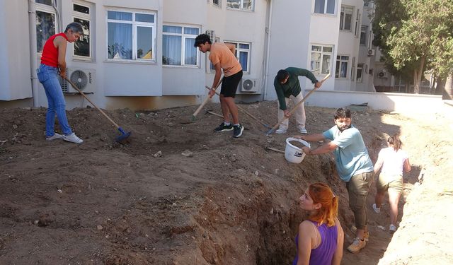 Müze bahçesine gömülen Fin balinası gün yüzüne çıkarılıyor