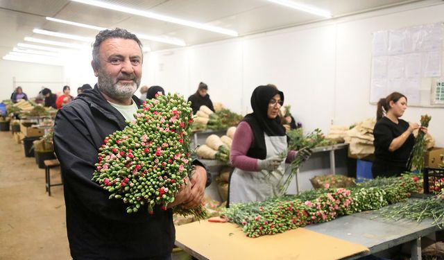 Avrupa ülkelerine 12 milyon dolarlık yılbaşı çiçeği