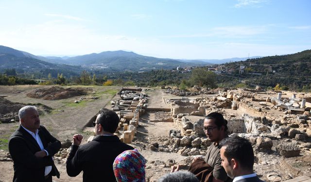 4 bin yıllık antik kentte zeytin hasadı