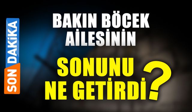 Bakın Böcek ailesinin sonunu ne getirdi?