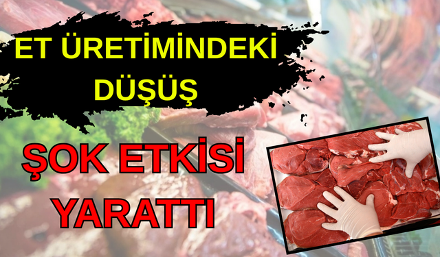 Türkiye’de kırmızı et üretimi yüzde 11,7 azaldı… Vatandaş ete hasret kaldı