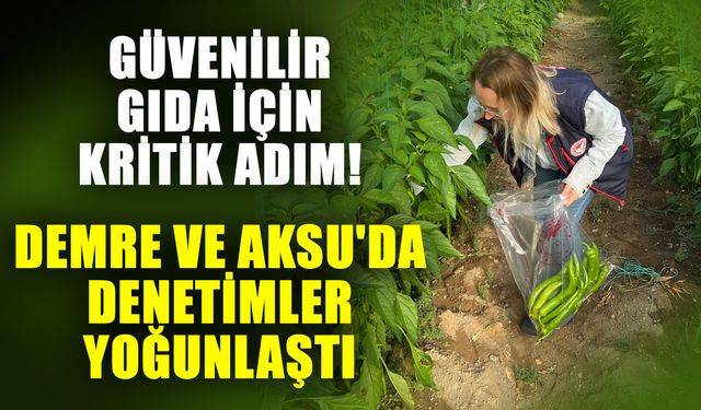 Güvenilir gıda için kritik adım! Demre ve Aksu'da denetimler yoğunlaştı