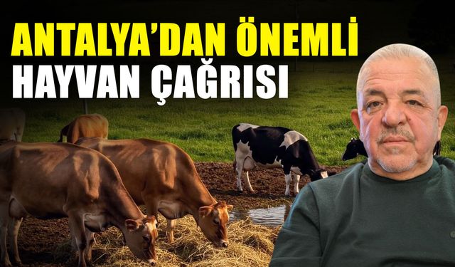 Antalya’dan önemli hayvan çağrısı