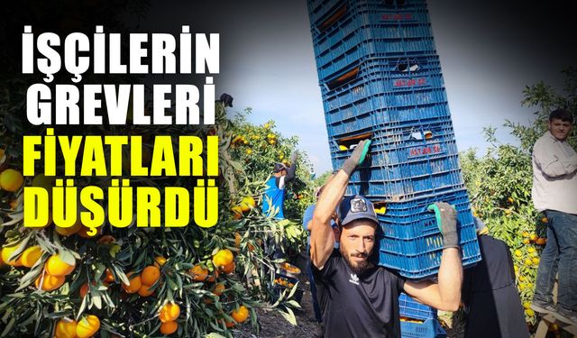 İşçilerin grevleri fiyatları düşürdü