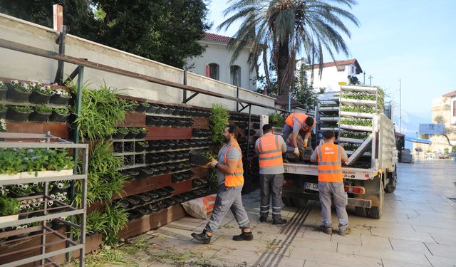 Antalya’da 4 milyon çiçek toprakla buluşuyor